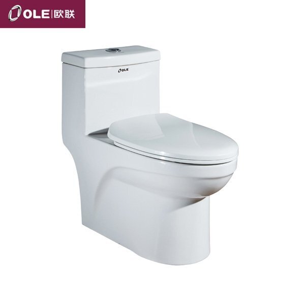 T1539坐便器