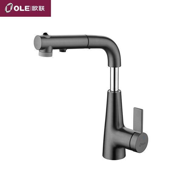 D21131Q (2)